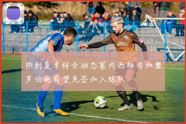 热刺夏季转会动态塞内西即将加盟罗伯逊有望免签加入球队
