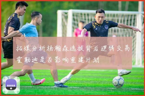 拓媒分析杨瀚森选拔背后逻辑交易霍勒迪是否影响重建计划